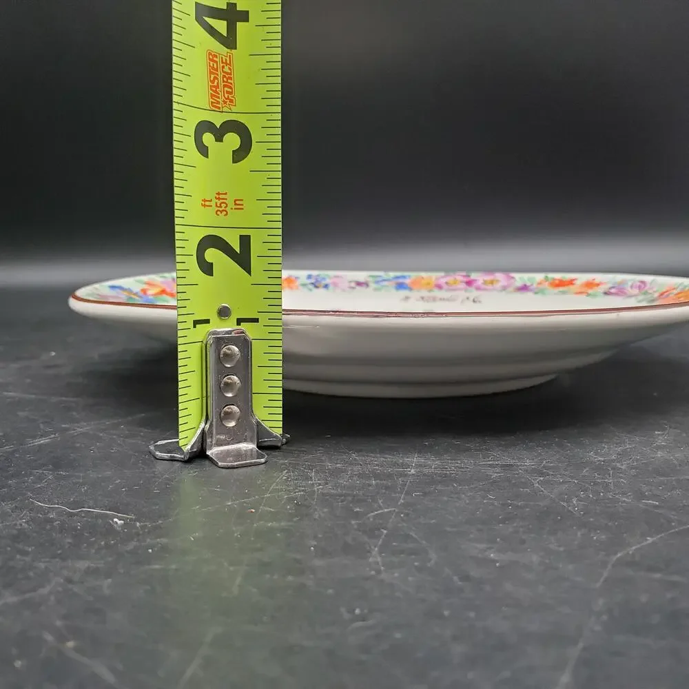 Vintage Chodovia Czech Hand Painted Floral Plate Chodov Porcelain